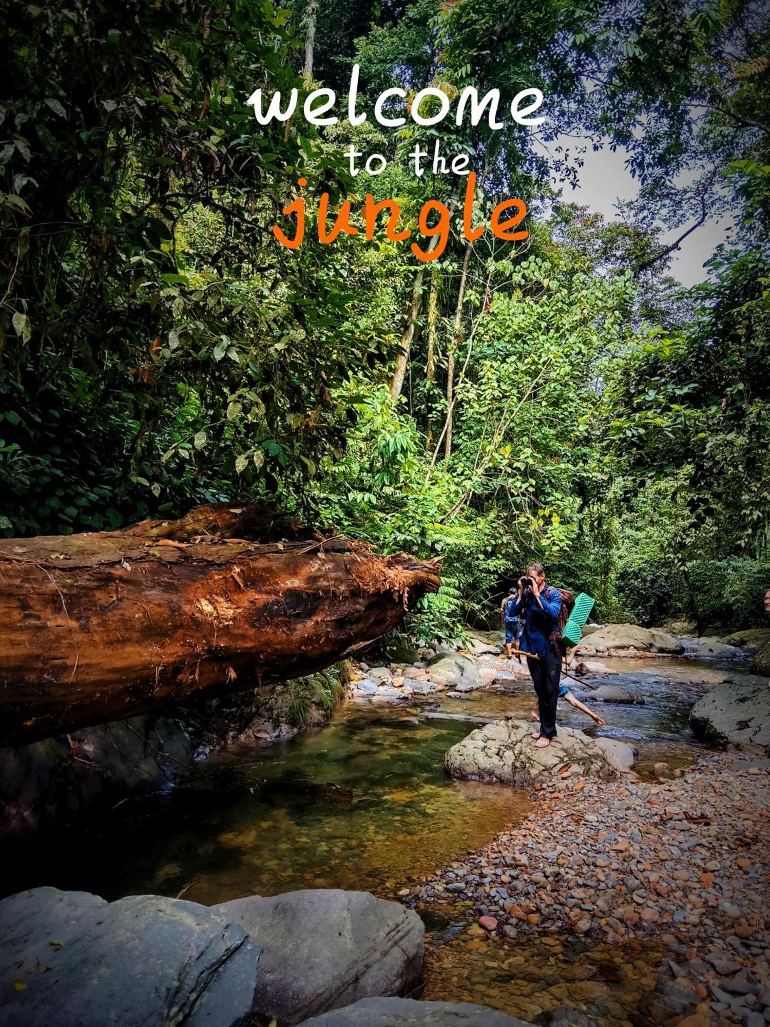 Jungle Life Guest House - Trekking & Transport Only Book With Us Bukit Lawang Exterior photo
