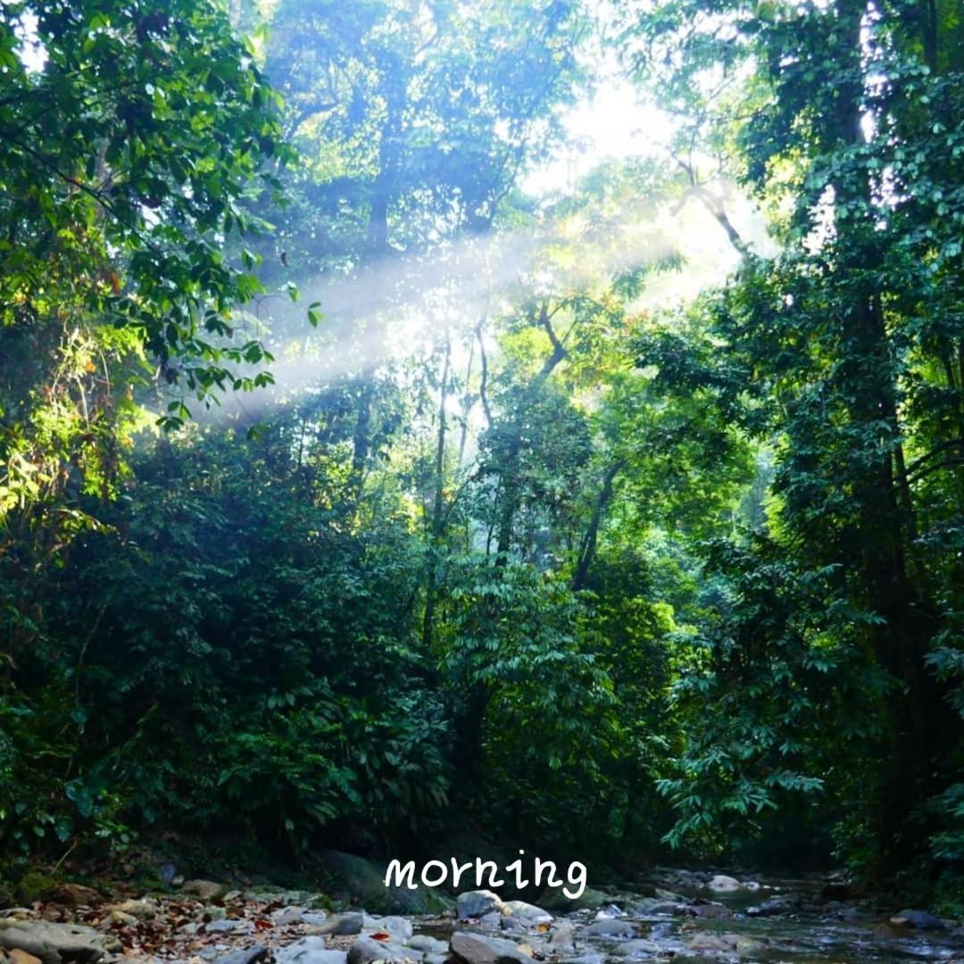 Jungle Life Guest House - Trekking & Transport Only Book With Us Bukit Lawang Exterior photo